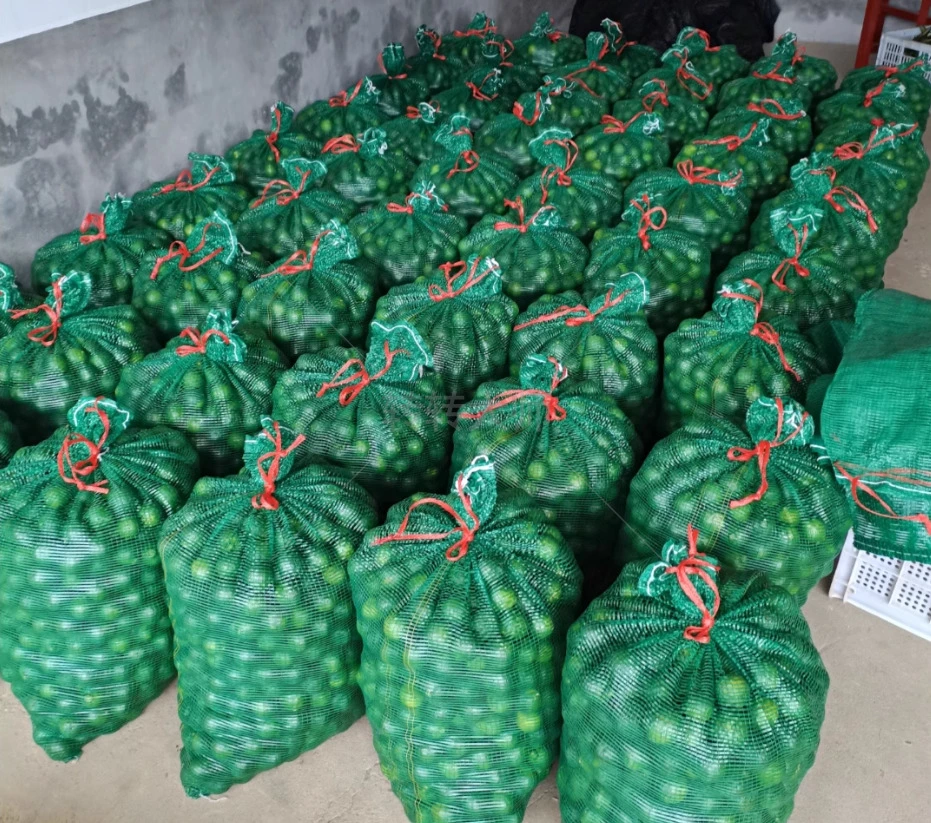 Saco de rede para embalagem de fruta vegetal de plástico