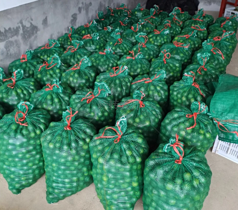 Sac en filet en plastique pour emballage de légumes et de fruits.