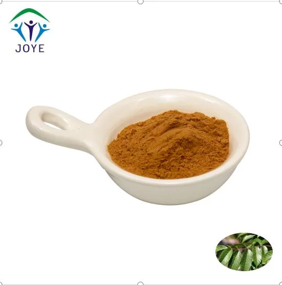 Natural Olive Leaf Extract Powder Oleuropein