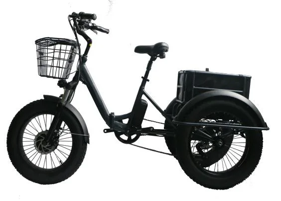 20inch Fat Tire 3 Wheel Electric Tricycle Trike Pedal Bike for Adults