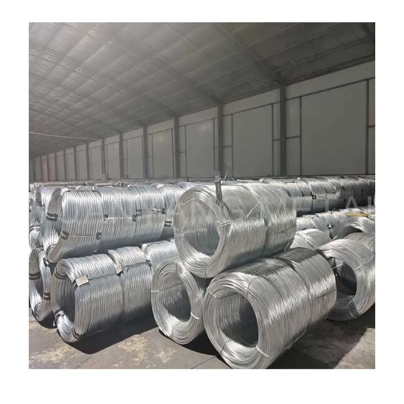 Factory Hot Sale Bwg22-Bwg8 High Quality Binding Wire Iron Wire Galvanized Iron Wire