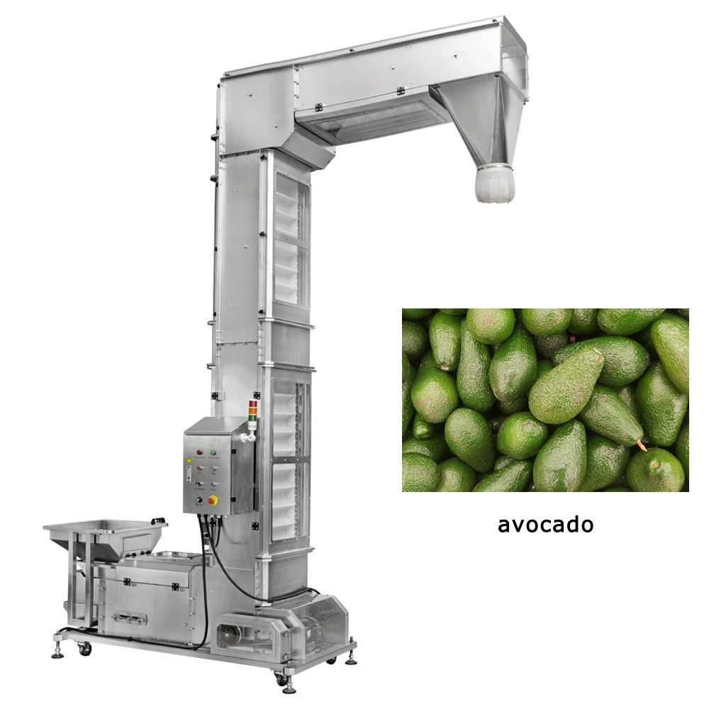 Z-Type Ascenseur pour Fruit Myrtille