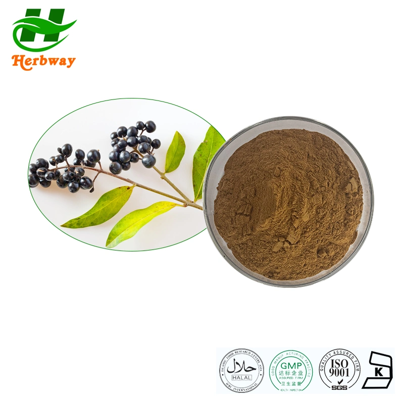 Extracto de plantas de Herbway muestra gratuita Ligustrum Extracto Lucidum Suplemento nutricional Extracto de Ligustrum japonicum Extracto de fruta brillante Privet