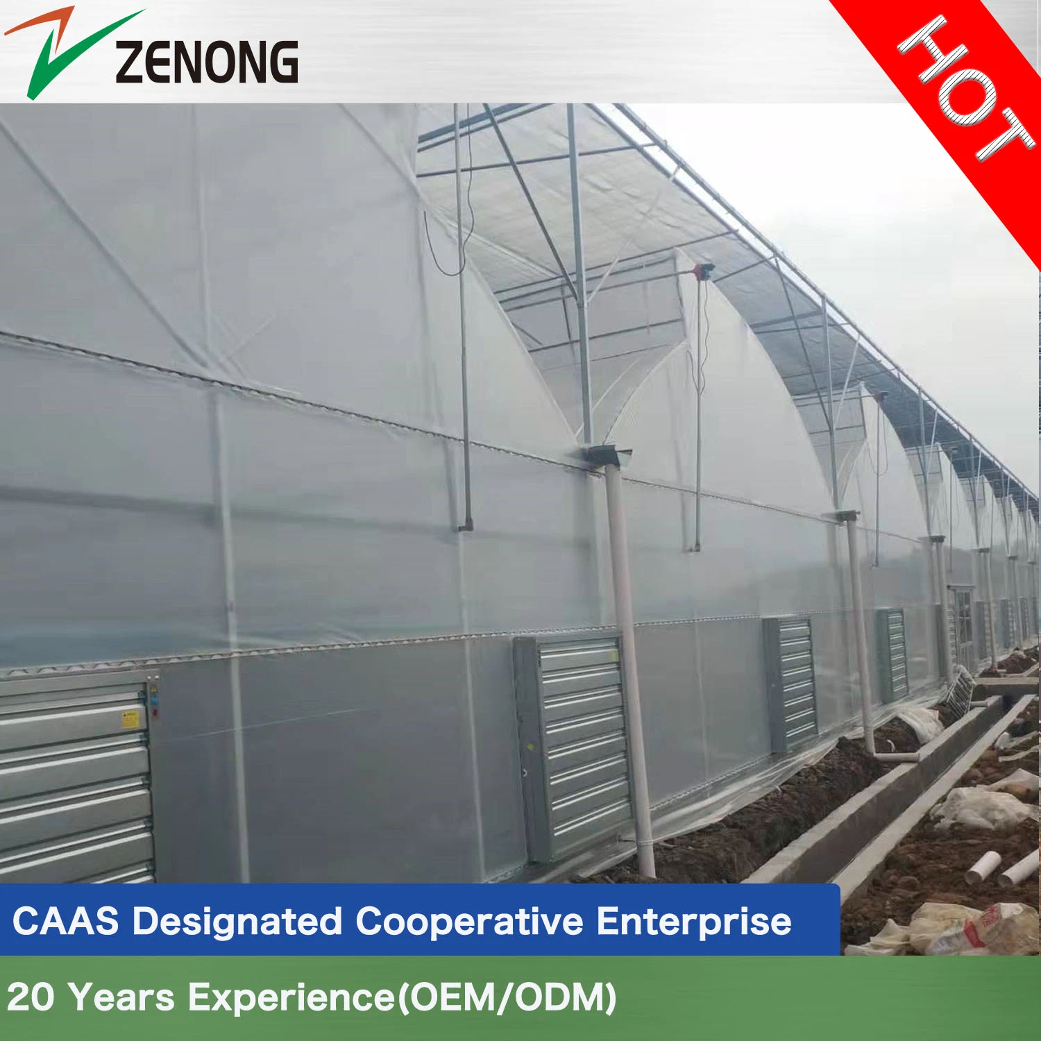 Fácil instalación tradicional China Film Greenhouse con alta calidad para Agricultura