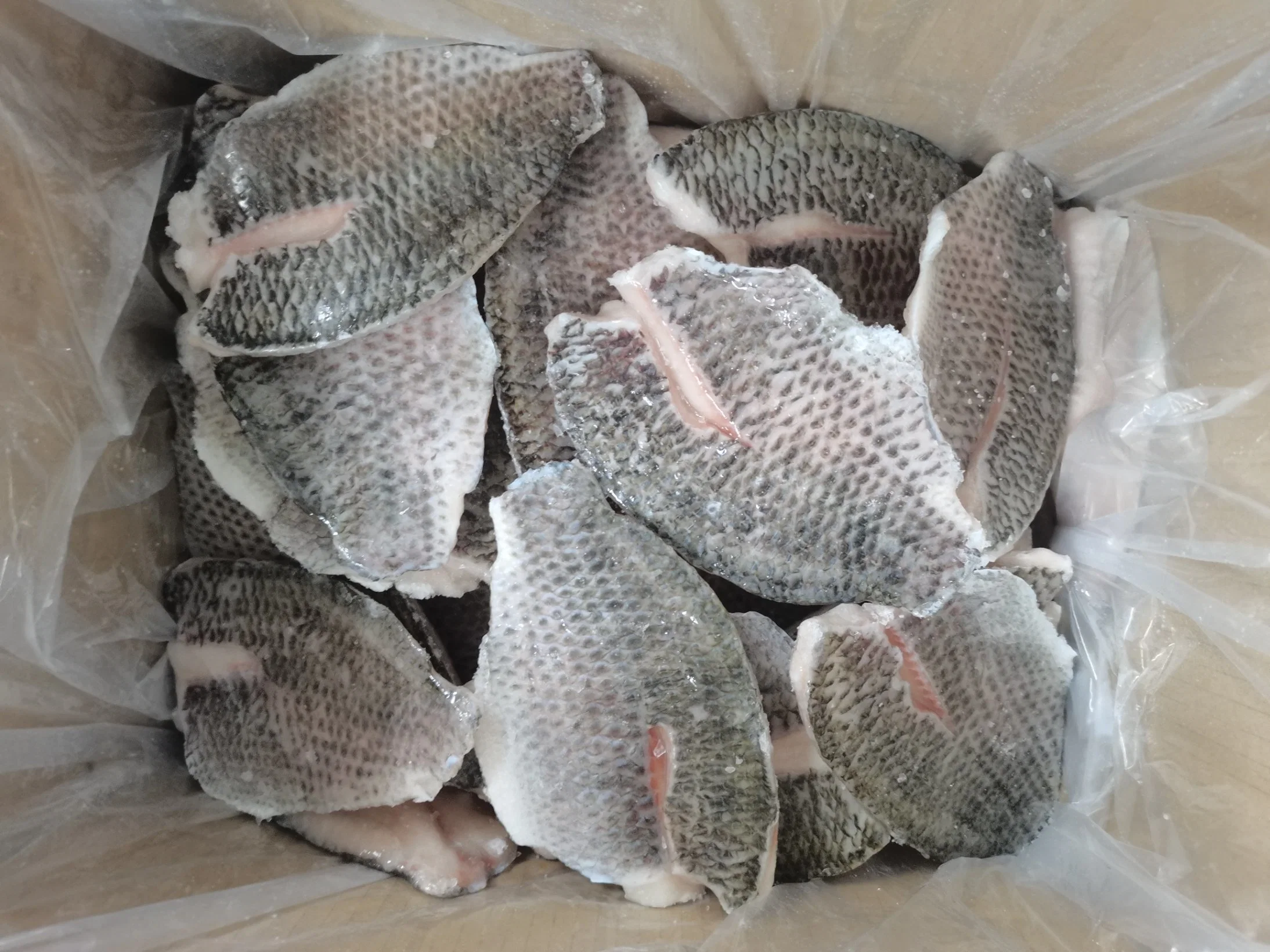 Frozen Tilapia Whole Round/Frozen Tilapia Fillet/Frozen Seafo