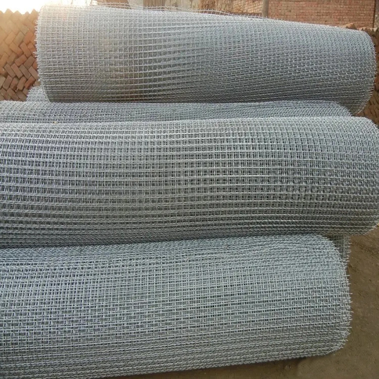 Popular Sale Hot Dipped Galvanized Spring Steel Welded Wire Mesh