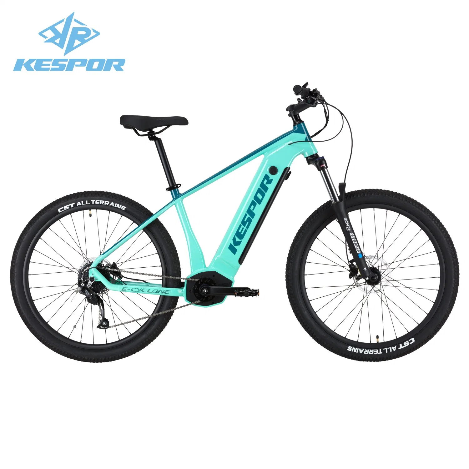 Trendy Design New Model 36V 250W Electric Mountain Bike for Wholesale