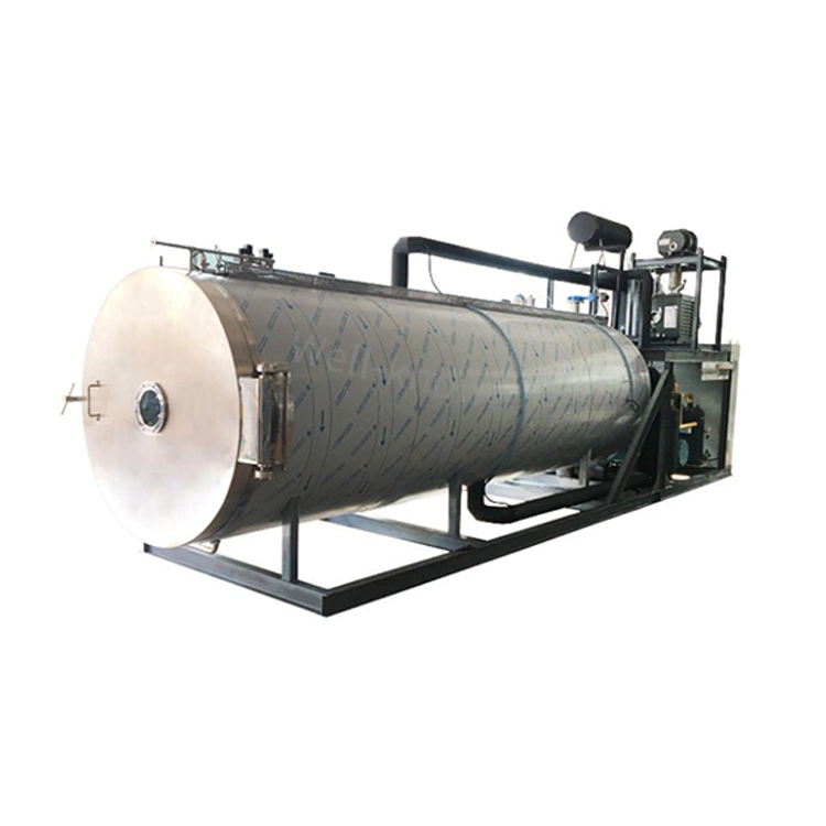 Large Full Automatic Vacuum Freeze Coconut Drying Machine