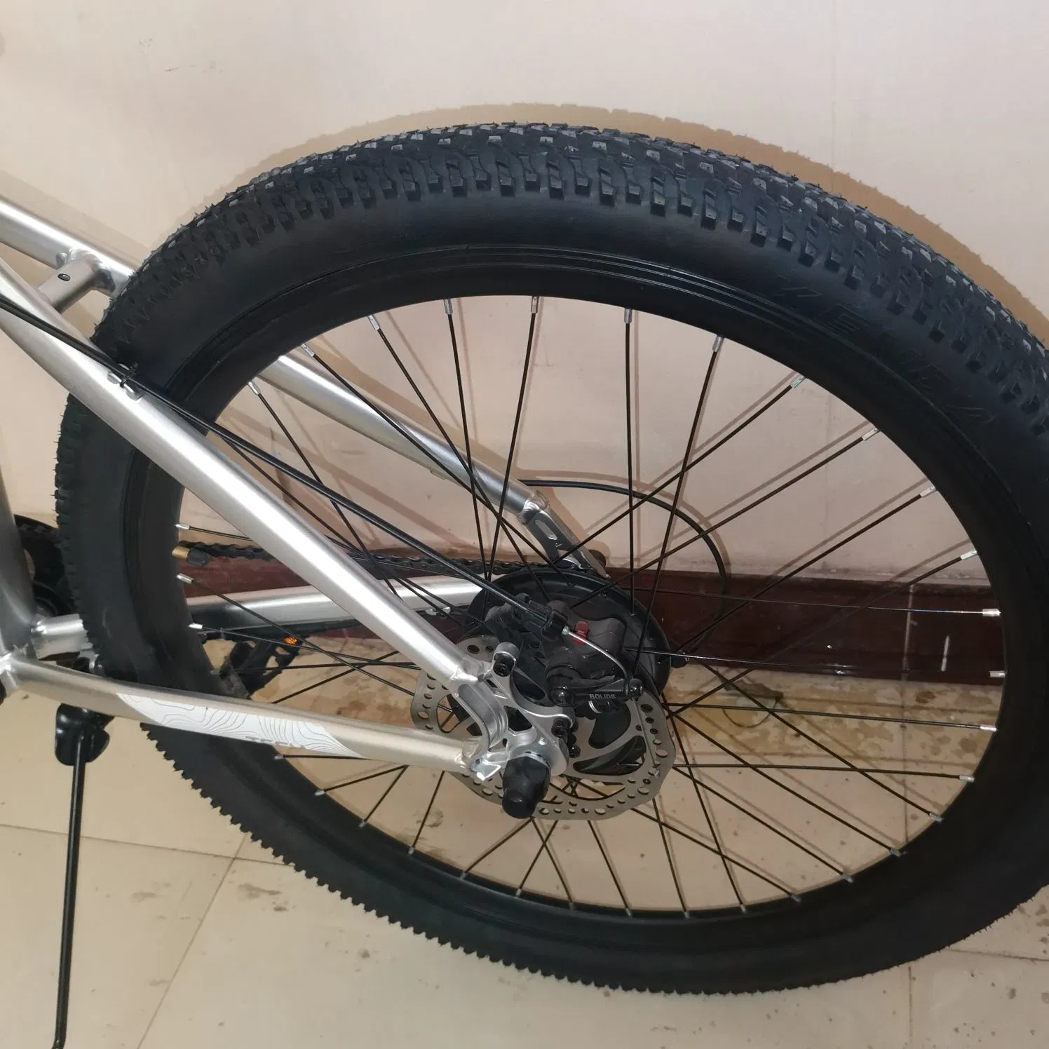 Bicicleta de rodas elétrica da montanha da cidade com motor de Bafang