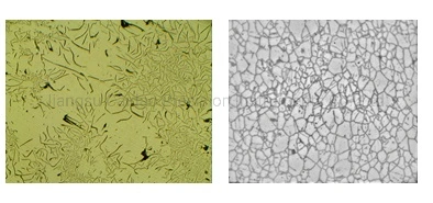 Optical Microscope for Hardware Inspection Intd