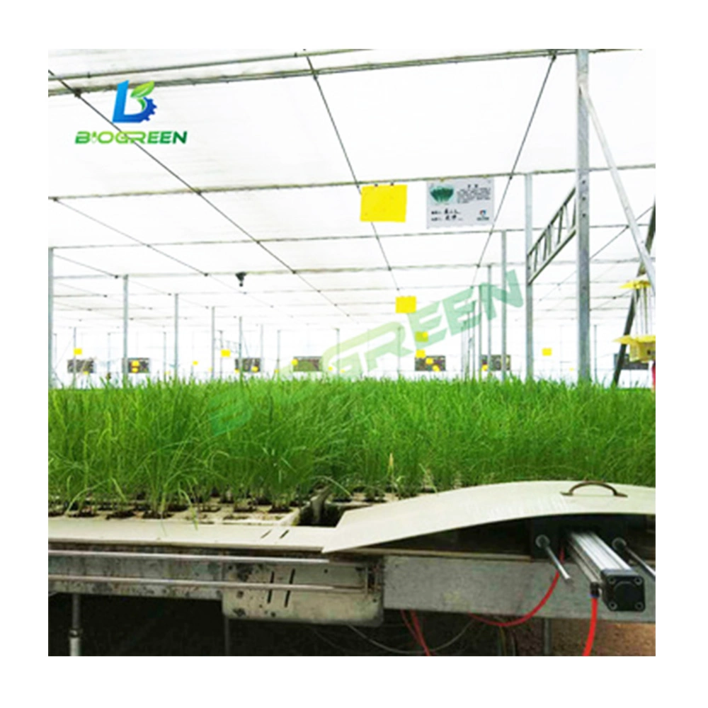 High Efficient Tempered Glass Greenhouse with Hydroponic Growing System