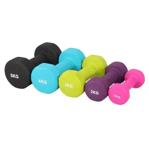 Small Hex Dumbbell Gym Accessories Vinyl Dumbbell Free Weight