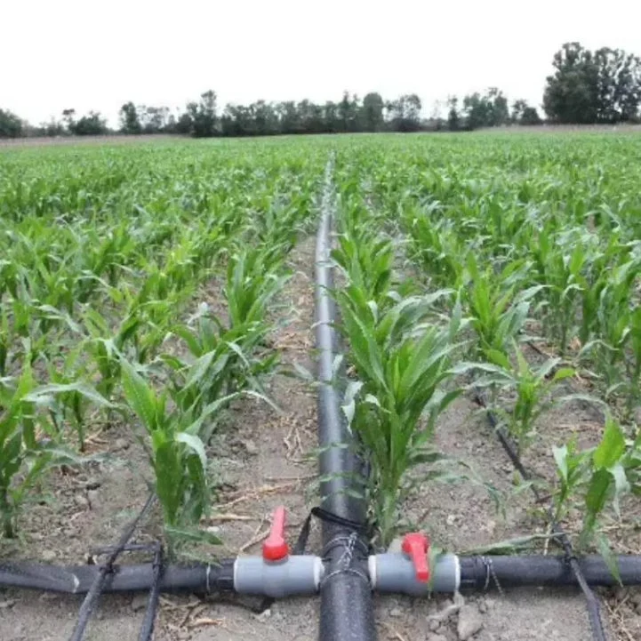 Black Equipment Drip Hose Reel Price Dripline Farm Irrigation Greenhouse System