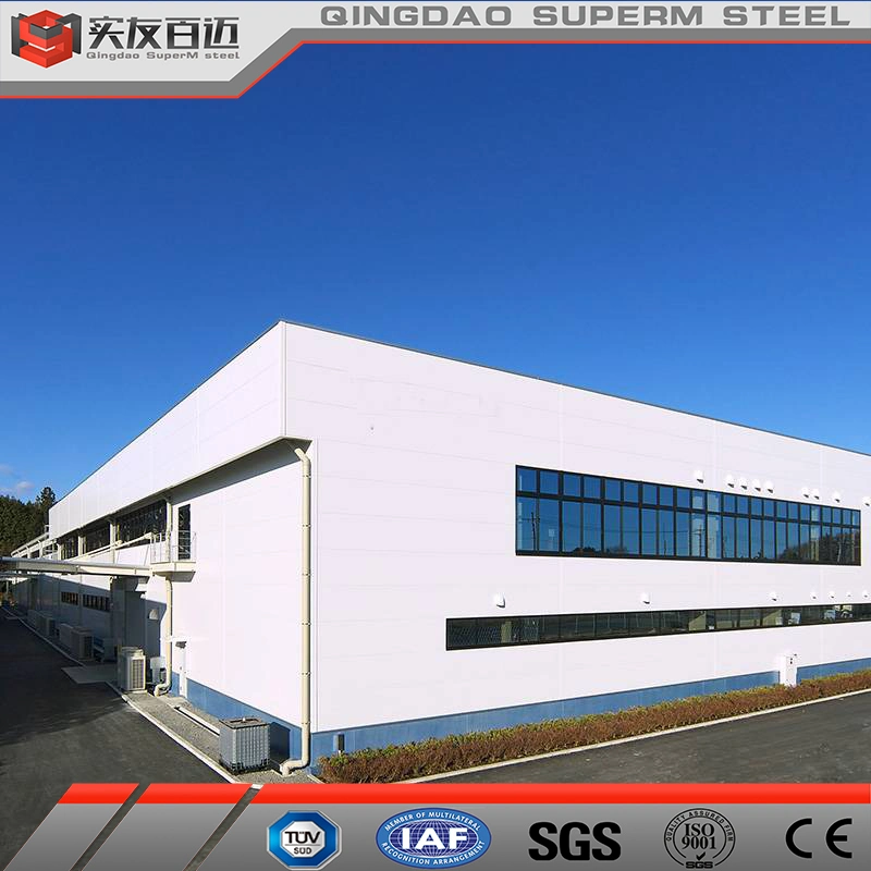 5000 Sqm Steel Structure Warehouse Prefabricated Steel Building