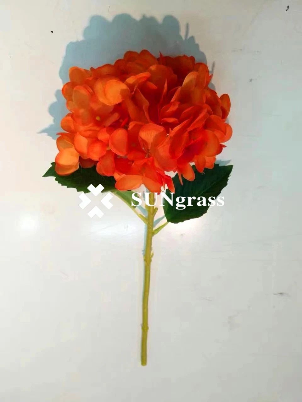 Natürliche echte Orange Hortensia Blume mit langen Stielen für Hochzeit Dekoration