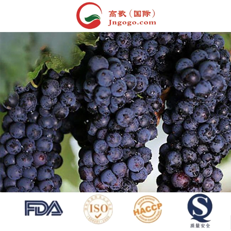 Black Grapes- Farm Fresh Quality
