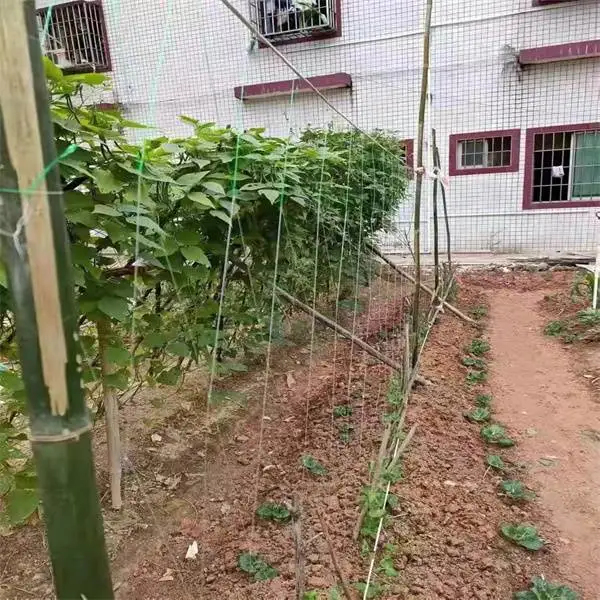 L'agriculture plantes potagères de treillis de plastique Support Net Net Net pour la vente d'escalade de concombre