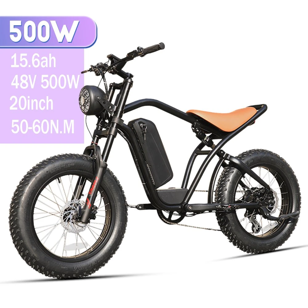2022 Brand New Hot Sale 48V 1000W 750W 20 Inch Disc Brake Fat Tire Electric Sport Bicycle Vintage Adult Electric Dirt Bike