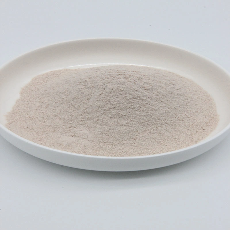 Super Quality Feed Additive Clostridium Butyricum Probiotics Powder for Animal