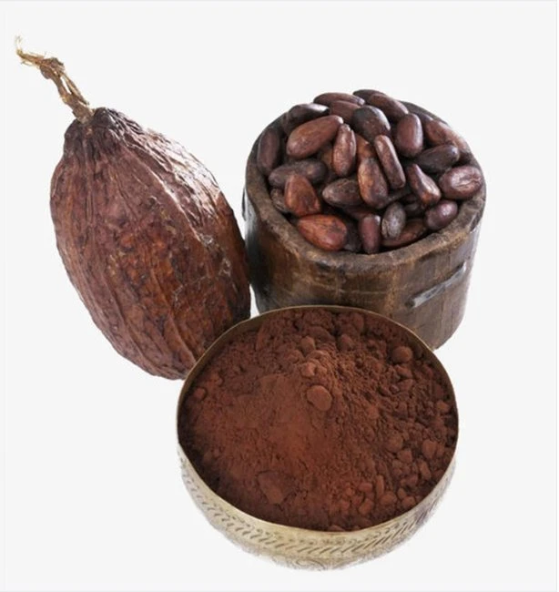 China Supply High quality/High cost performance  Pure Natural Alkalized Cocoa Powder with Best Price