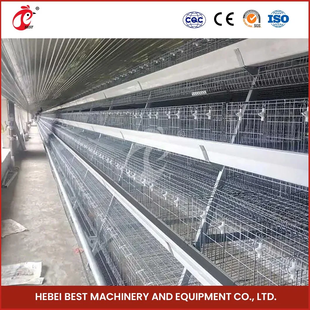 Bestchickencage China PVC beschichtet Günstige Chicken Layer Coop Factory ISO SONCAP Zertifikate Geflügellagenkäfig zum Verkauf Konfiguration Hühnerkoop Starterkit