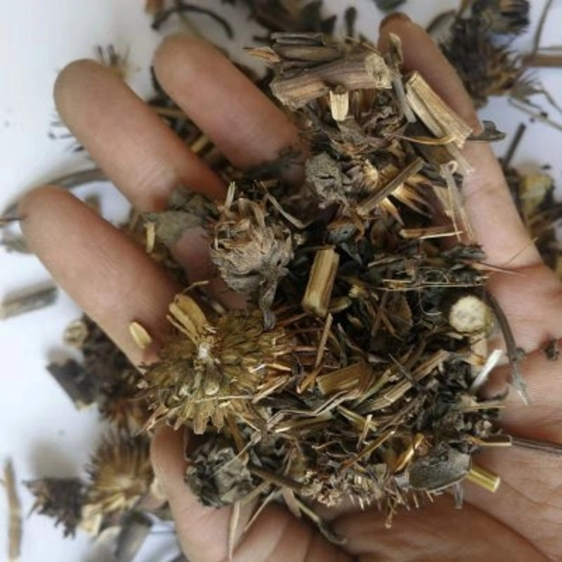Zi Zhui Ju Chinese Herb Medicine Dried Echinacea