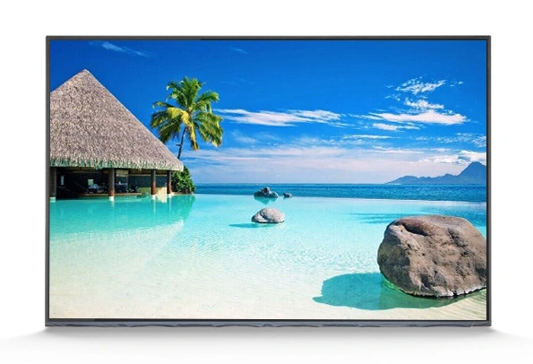 15.6 Inch LED TV Open Cell Factory Replacement LED LCD TV Screens Video Brochure Module