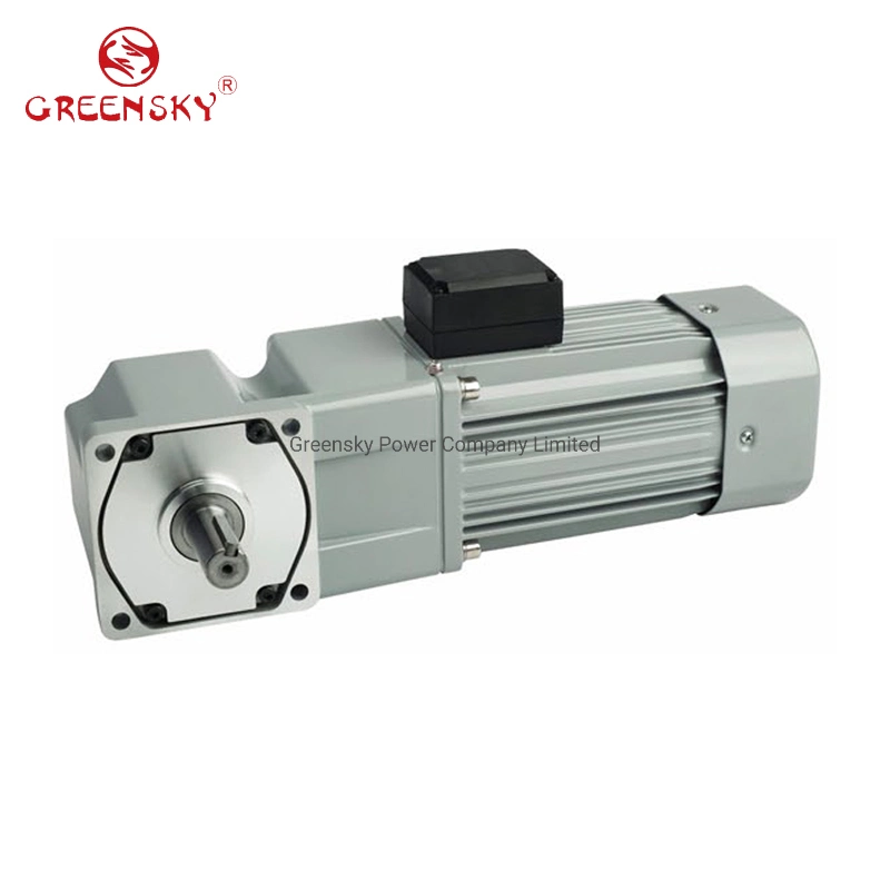 370W 100mm Right Angle Speed Controller Induction AC Motor