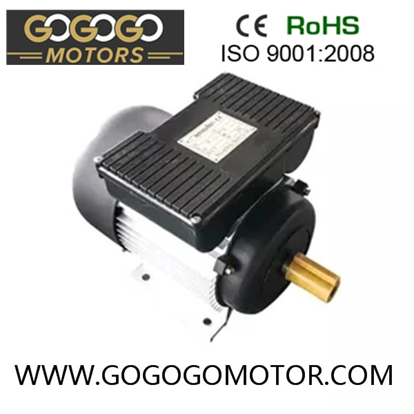 Chinese AC Motor 0.37kw~7.5kw Yc Series AC Electric Motor