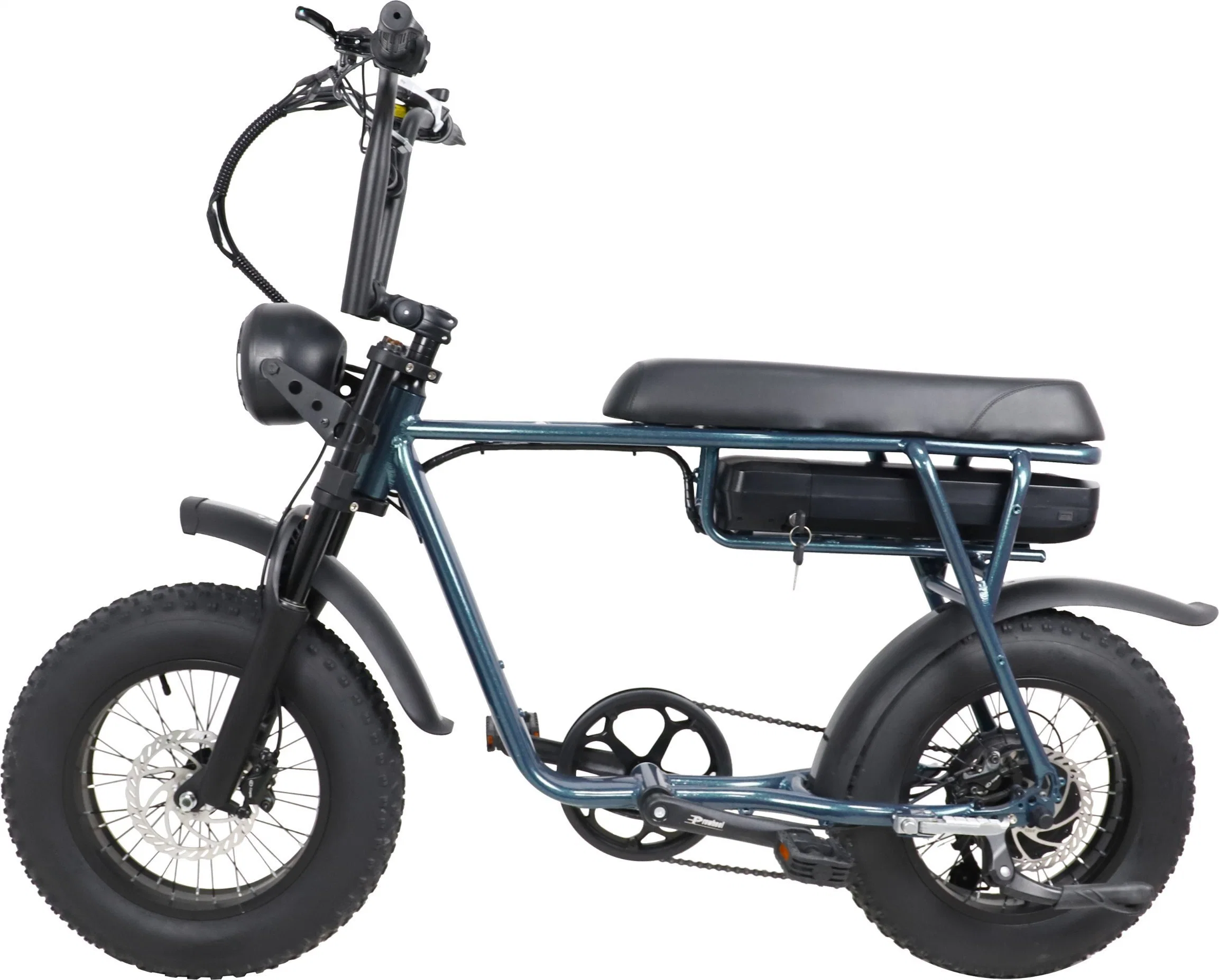 ATV Elektro Fahrrad 750W 1000W Motor 48V 20inch Fat Reifen E-Bike mit langer Reichweite – Offroad-MID-Drive-Anzeige Motorrad Hydraulische Bremse Elektrisches Fahrrad