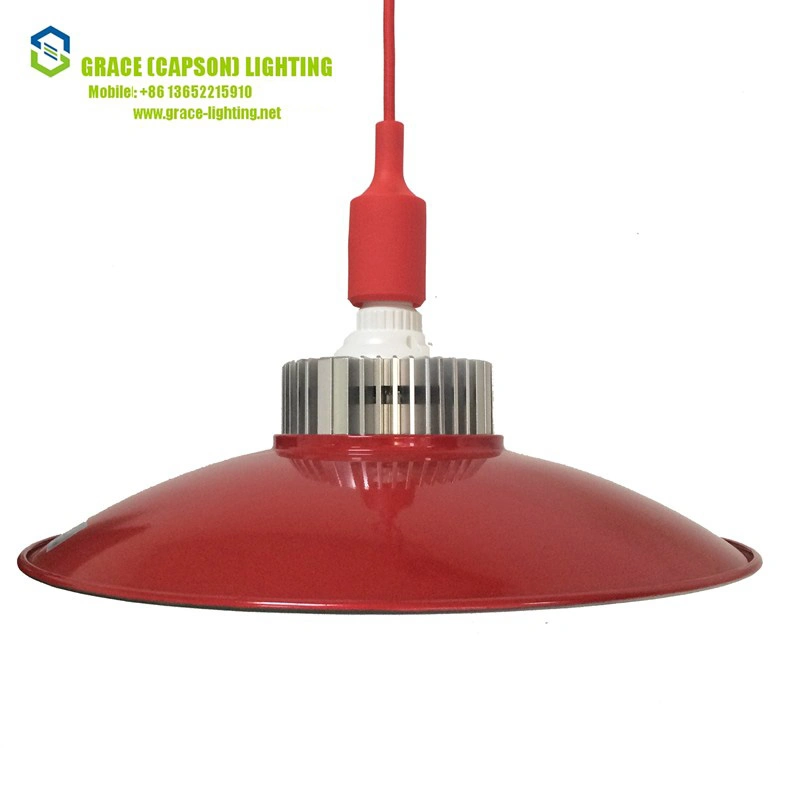 LED Professional Manufacturer 30W High Bay Pendant Lamp