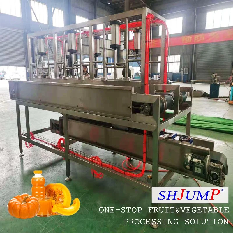 500kg Per Hour Pumpkin Shell Stripping Machine