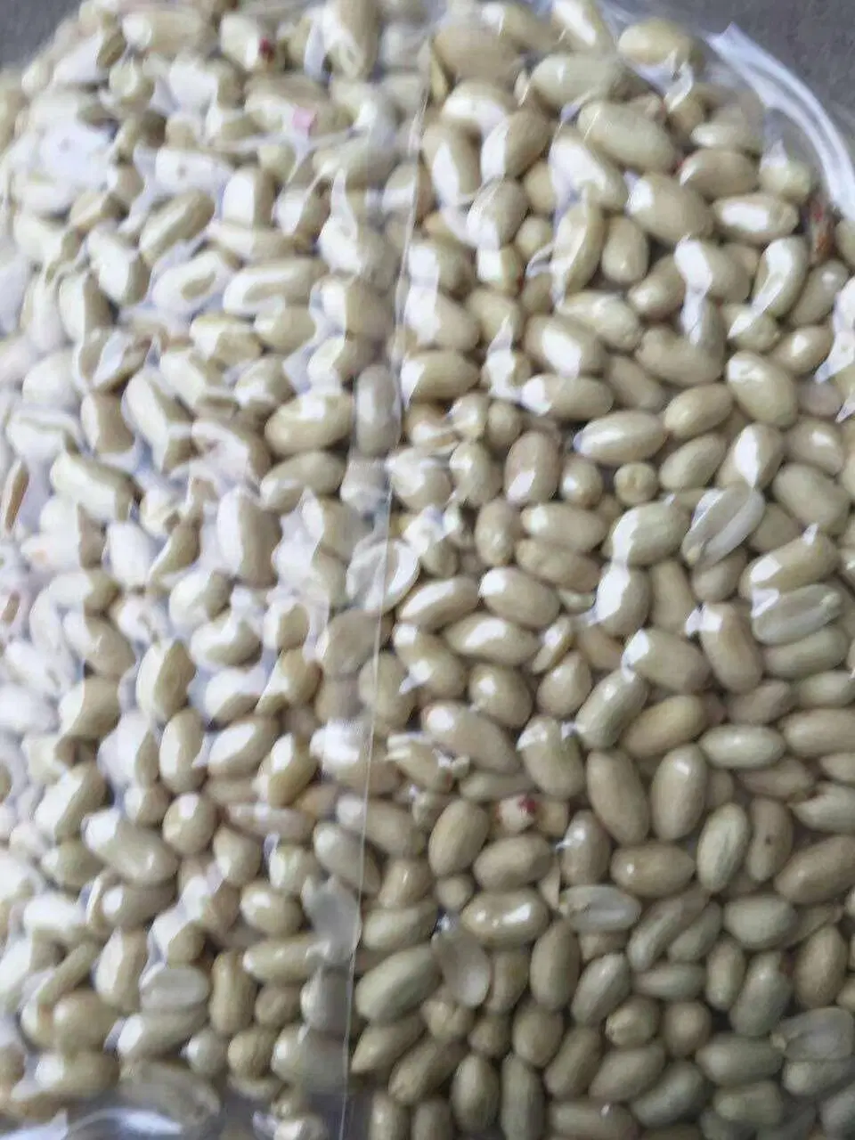 Blanched Groundnut Peanut Kernels From Shandong