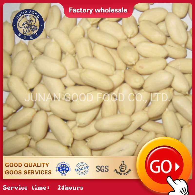 Premium Peanuts / Blanched Peanut Kernels / Roasted and Salted Redskin Peanuts