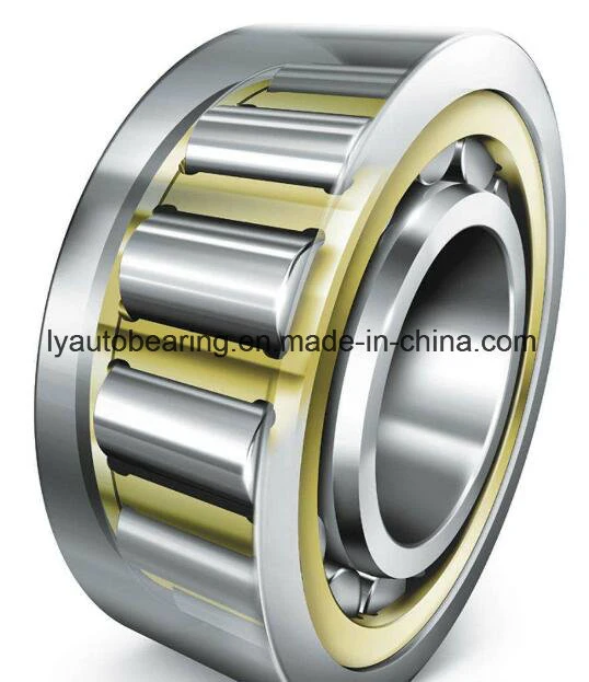 Cylindrical Roller Bearing, Nn3040 with Steel, Spare, Pillow Block, Auto Parts