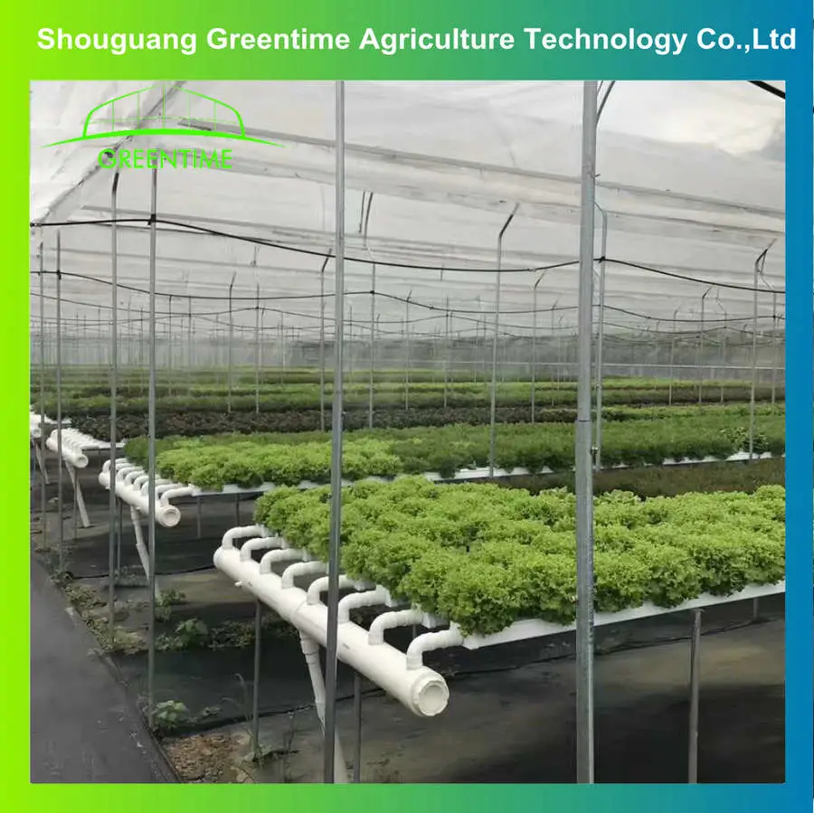 أنظمة الهيدروكرو الداخلية عمودي النمو برج Nft قناة Microgreen تنمو نظام الهيدرولوجيا