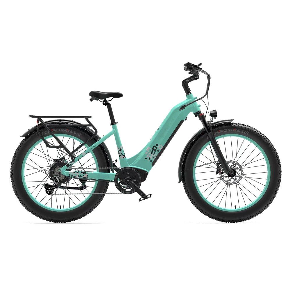 27,5" de bicicletas eléctricas Motorrcycle Eléctrico aluguer de veículo eléctrico com bateria Lithiun LG Bateria 48V 17Ah 750W bicicleta elétrica dobrável