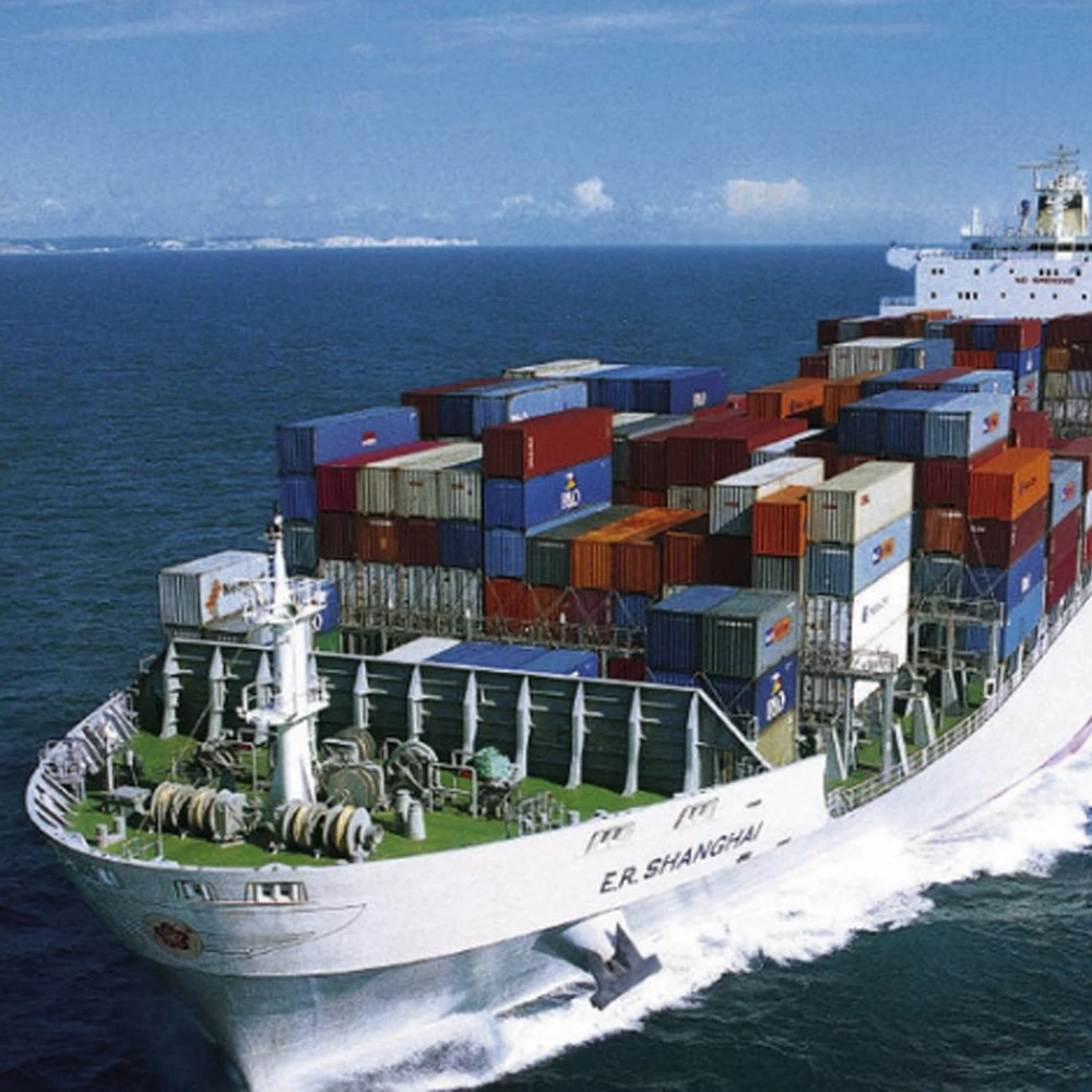 Cheap Food Shipping Agent Ocean Freight Sea Shipping From China to The USA UK France