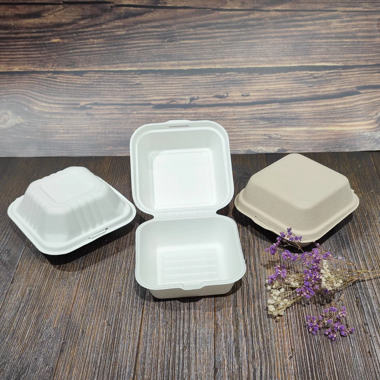 Caña de Azúcar Eco-Compostable Tapa caja de comida para llevar desechables biodegradables de bagazo para llevar comida contenedor compartimiento Embalaje