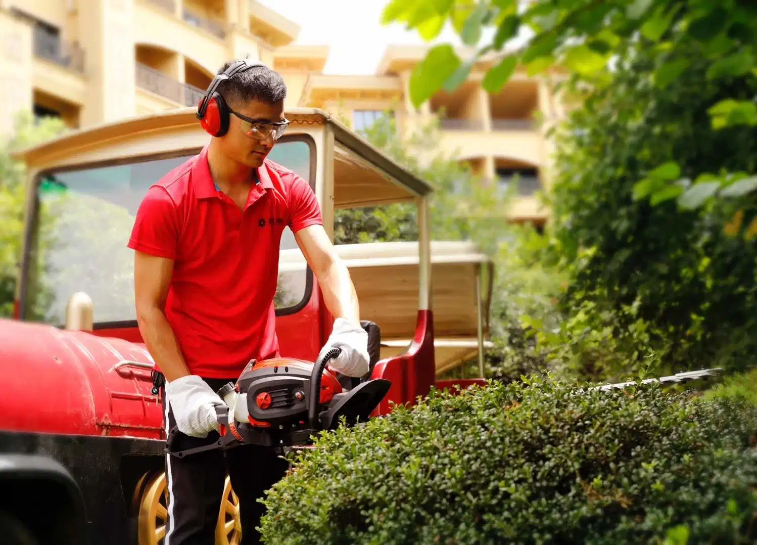 La carrera de trabajo de la gasolina 2 Jardín gasolina Hedge barbero (TT-HT230B)