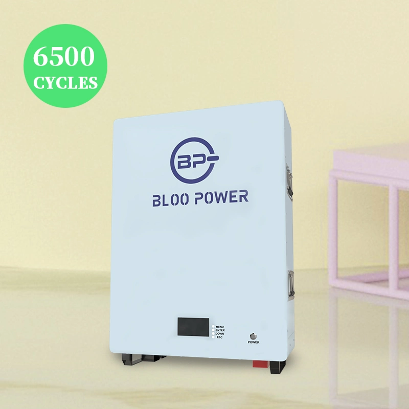 Bloo Power 400Ah 500Ah LiFePO4 Cargador Solar de litio de 15kwh pack de batería Powerwall Banco copia de seguridad