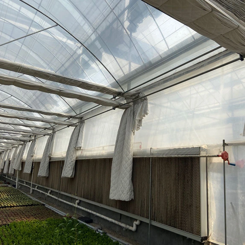 Vertical Column Daylight Film Greenhouse