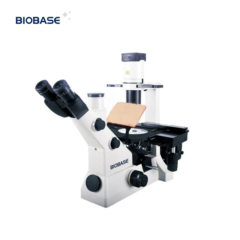 Microscopio Biológico invertido BioBase trinocular para laboratorio