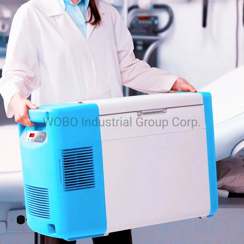 Portable Mini Car Use Cryogenic Freezer for Vaccine Storage