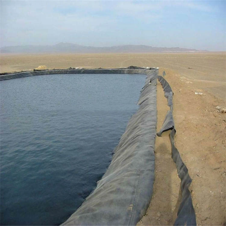 HDPE/PVC Geomembrane Control Tunnel Seepage