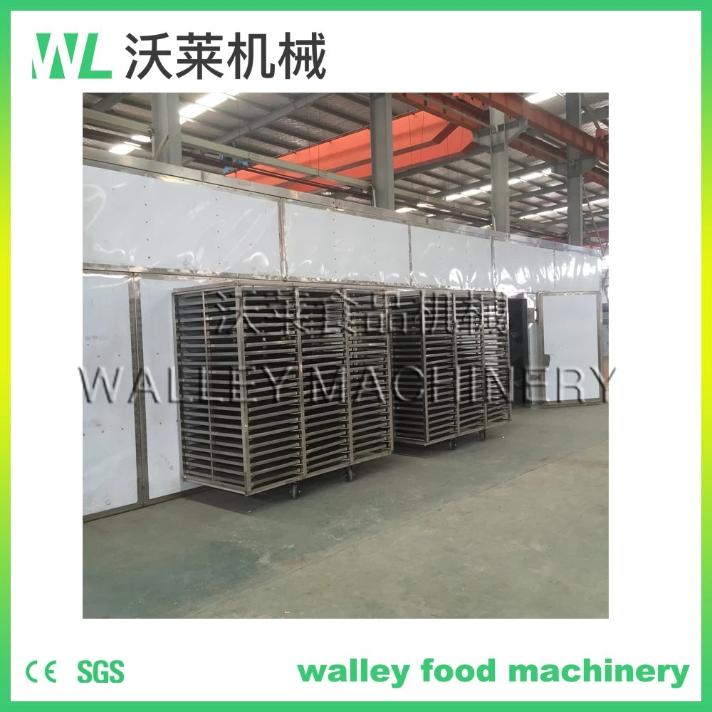 Wl Fruit Drying Machine Vegetable Drying Equipment Food Drying Equipment