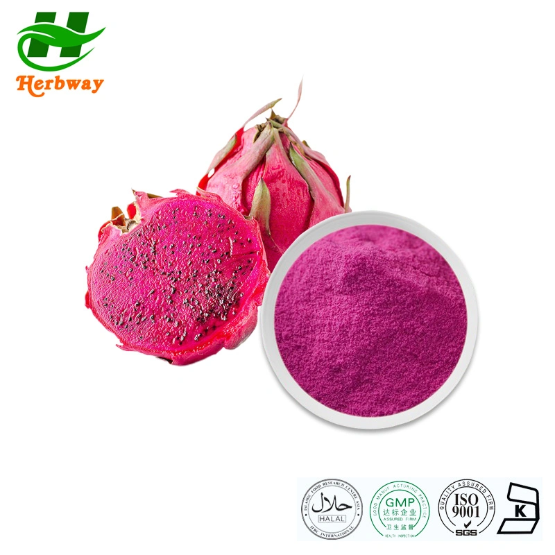 Herbway Kosher Halal Certified Free Sample Fruit & Vegetable Juice Powder Kiwi, Strawberry, Banana, Blueberry, Apple, Pineapple, Coconut, Dragon Fruit Powder