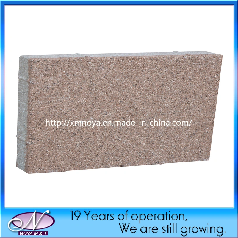 Porous Water Permeable Brick Paving Stone for Patio, Driveway, Garden