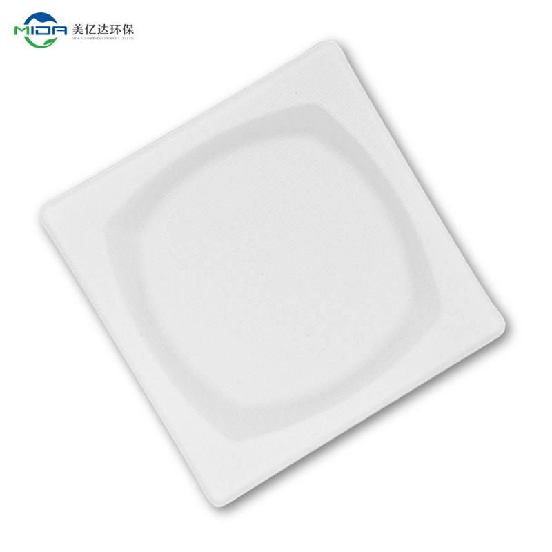 Eco-Friendly Sugarcane Square Plate Biodegradable Disposable Food Container Kitchenware Tableware