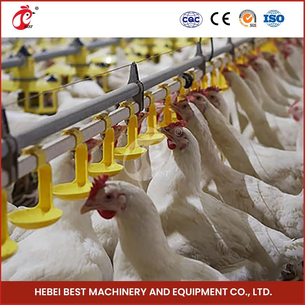 Bestchickencage Broiler Deep Litter System Sample Available China Easy Installation Feature Broiler Poultry Farming Deep Litter System Manufacturer